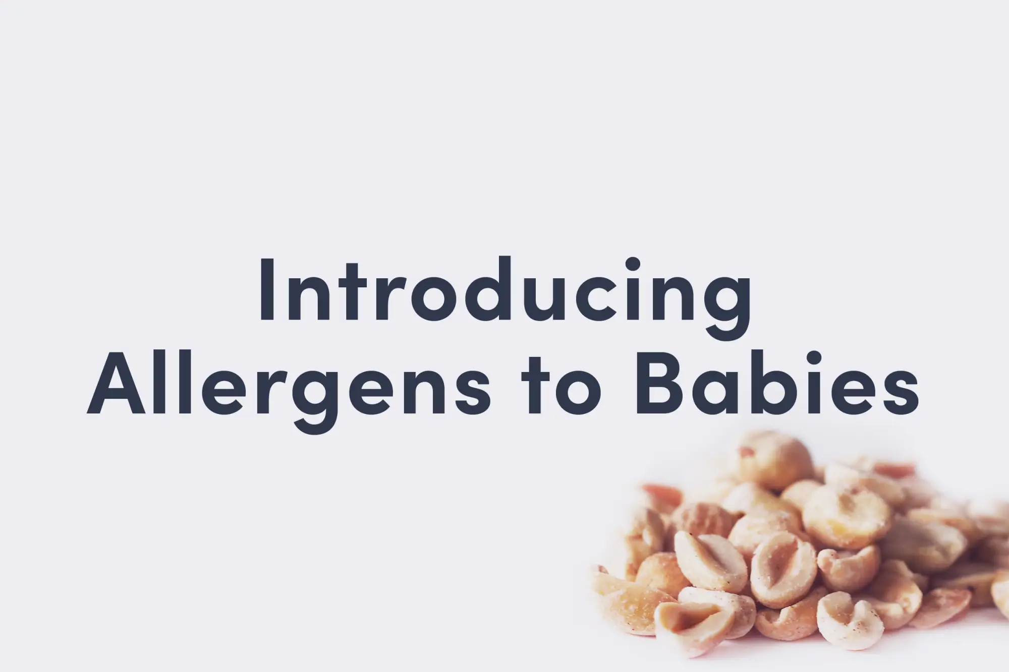 Guide cover page for Introducing Allergens to Babies, with a pile of pecans