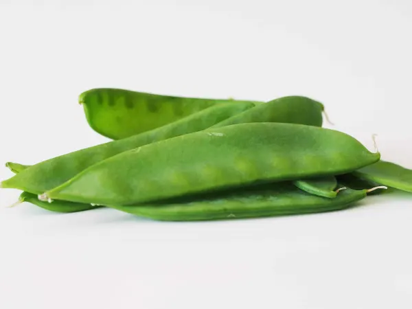 A pile of snow peas before they have been prepared for a baby starting solid foods