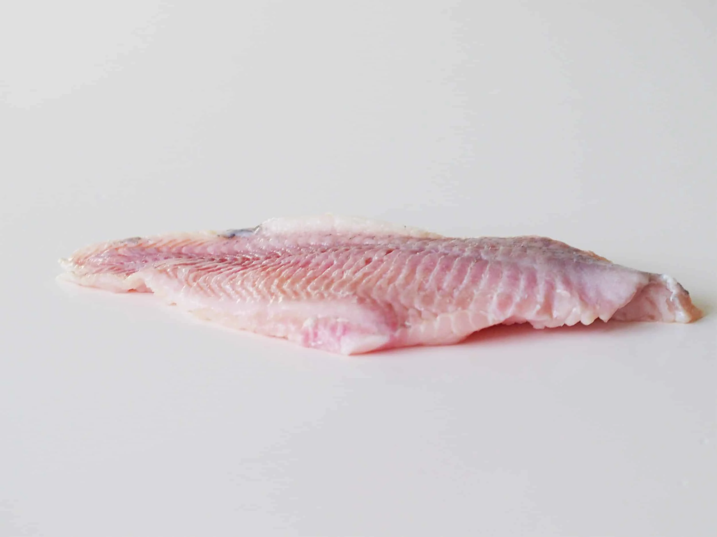 a catfish filet before being prepared for babies starting solids