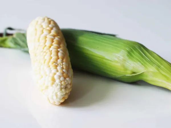 2 cobs of sweet corn, one husked and the other in its husk before being prepared for babies starting solid food