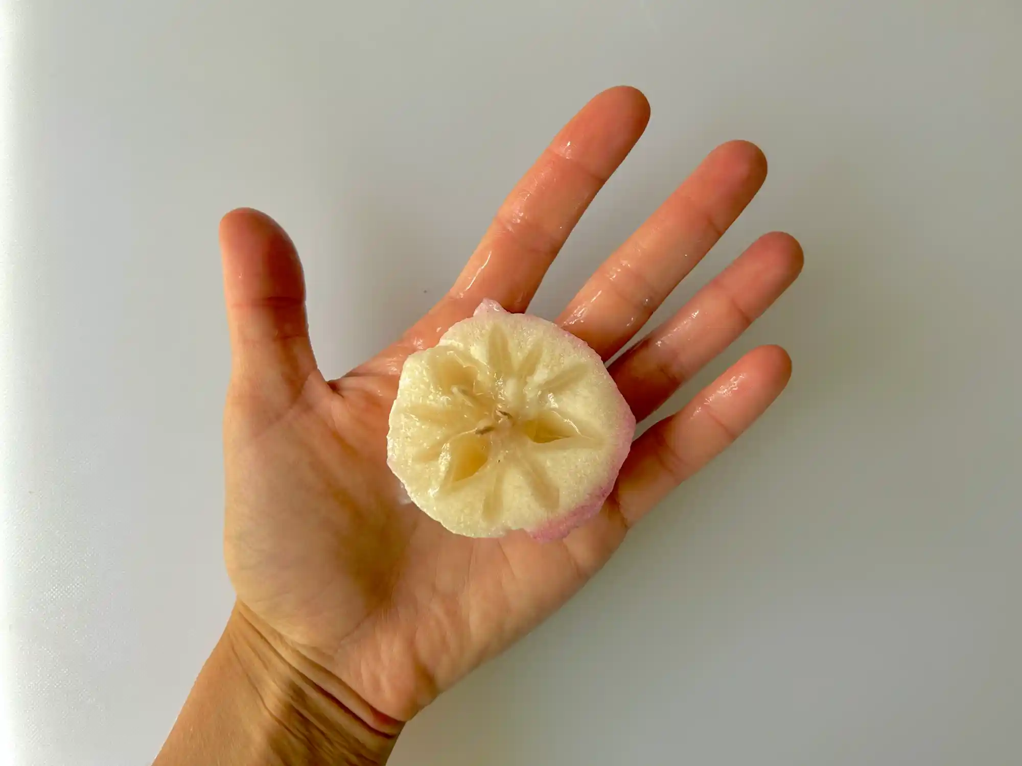 a photograph of a hand holding a large piece of star apple with seeds and skin removed