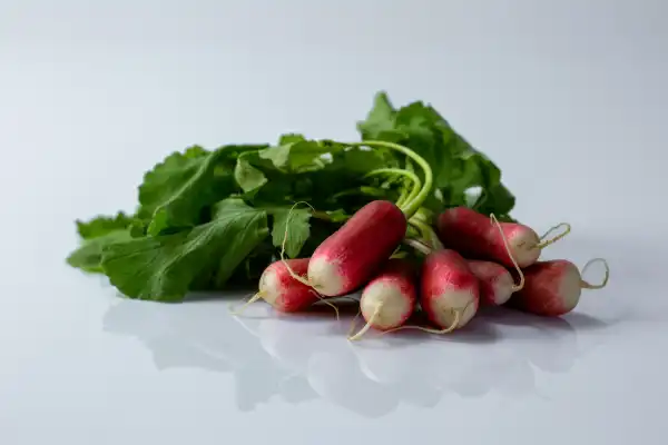 A pile of raw radishes before they have been prepared for a baby starting solid foods