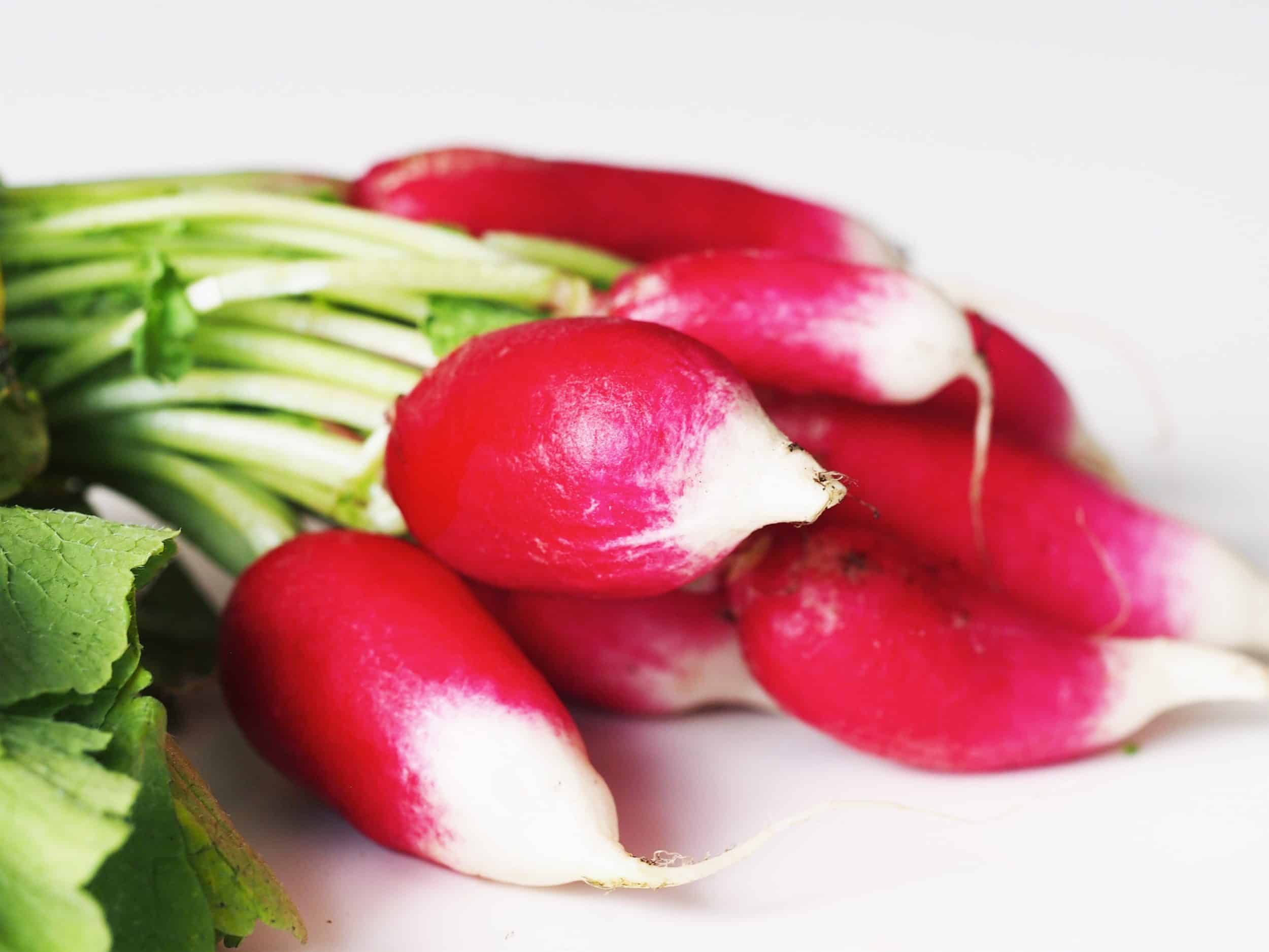 Radish for Babies First Foods for Baby Solid Starts