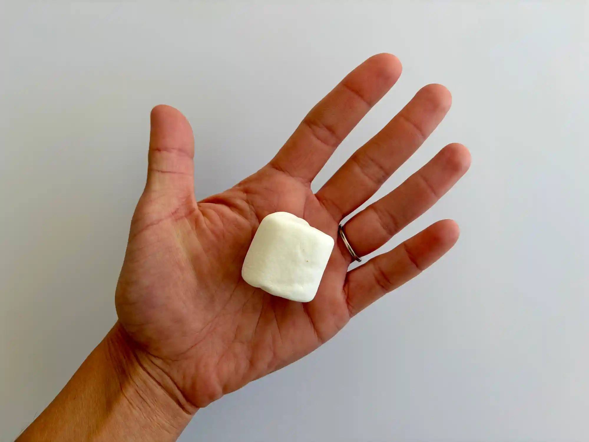 big marshmallow hand pic a photograph of a hand holding a large marshmallow in the palm