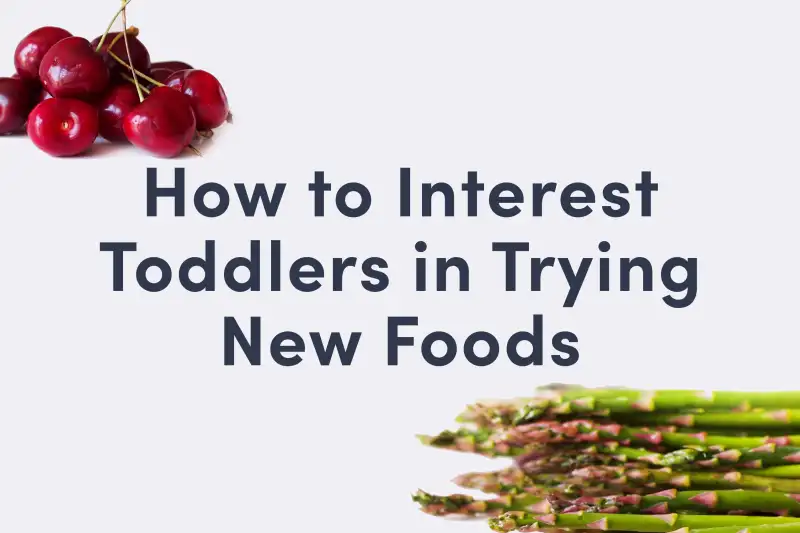 15 strategies to interest toddlers in trying new foods