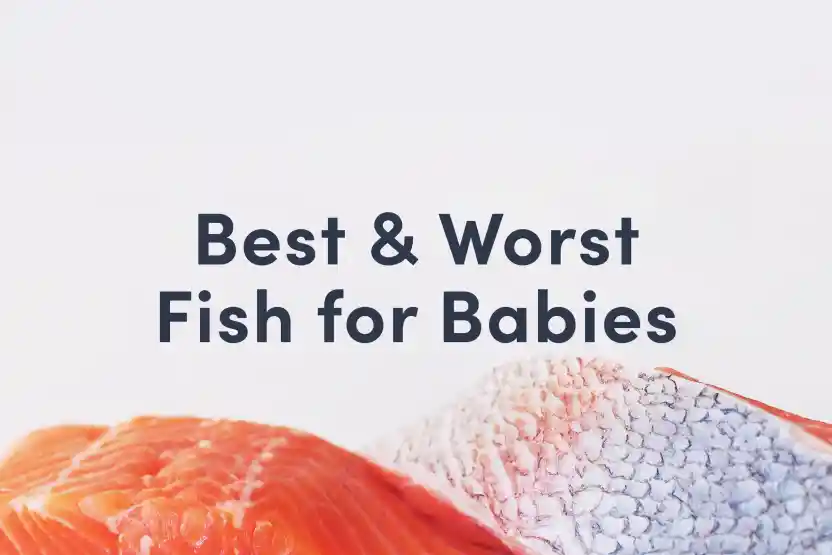 Cover page for the Solid Starts Best & Worst Fish Guide for babies