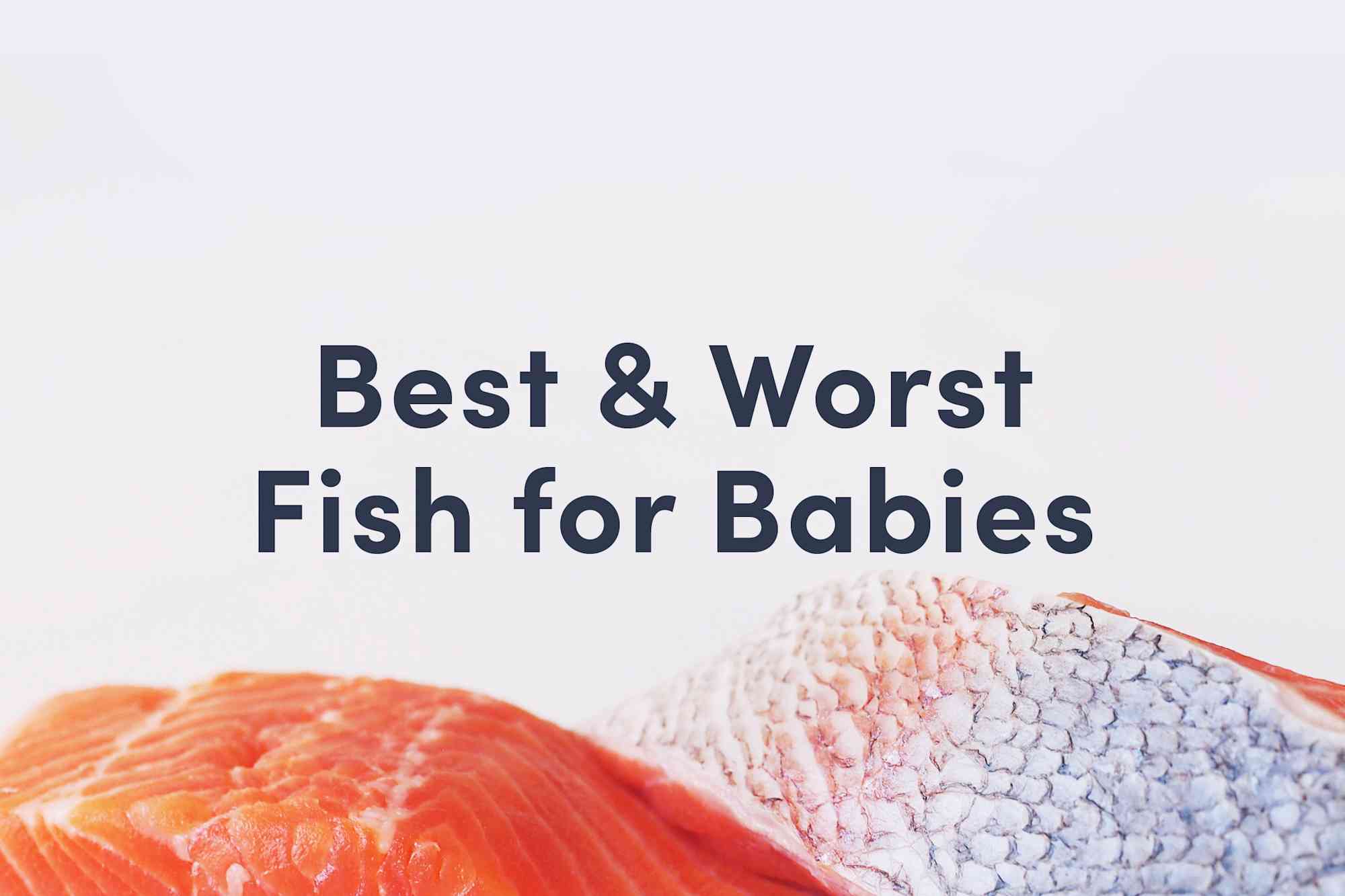 Best and Worst Fish for Babies Solid Starts