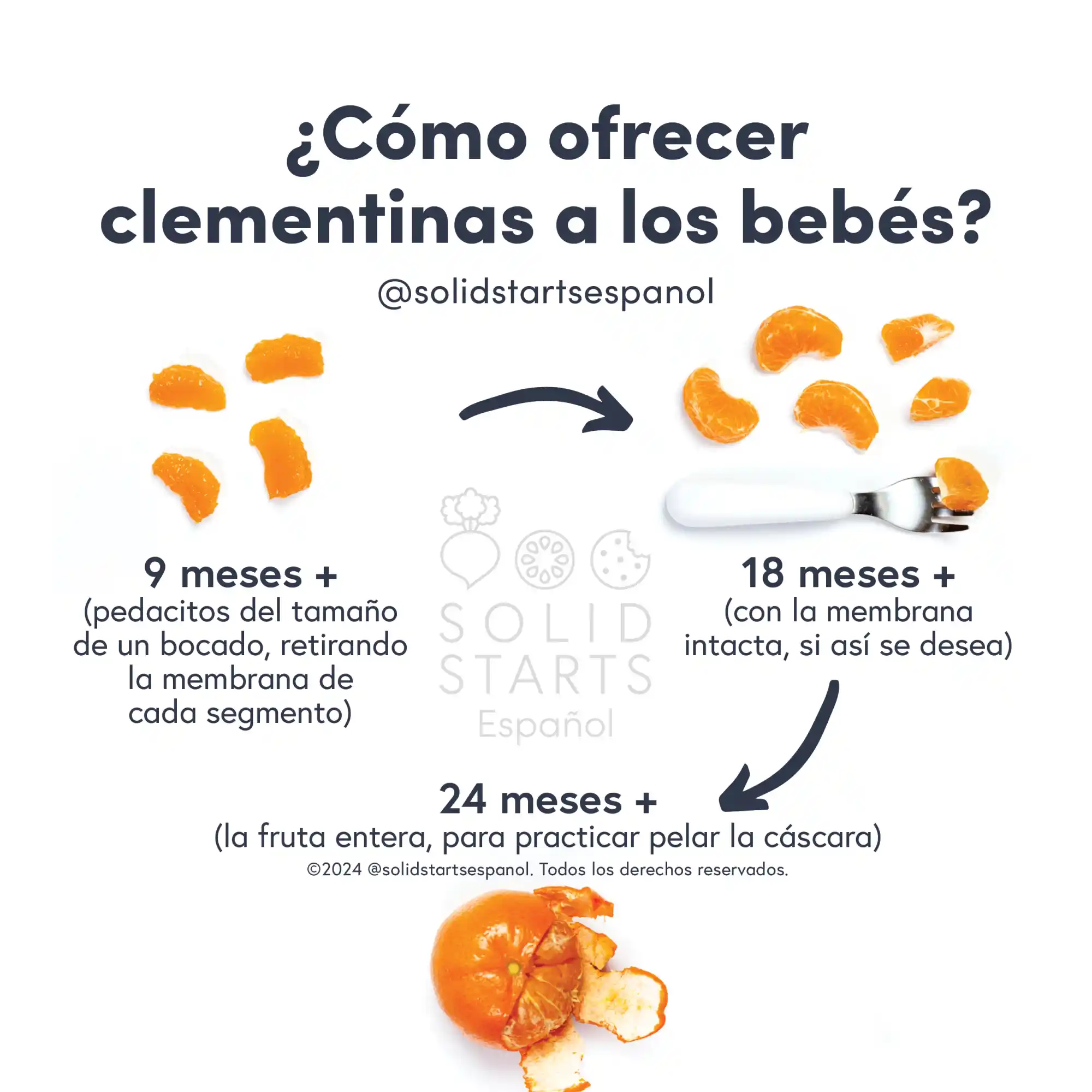 a Solid Starts infographic with the header How to Cut Clementines for Babies: sections with the membrane removed for 9 months+, sections with membrane intact for 18 months+, and the whole fruit for 24 months+