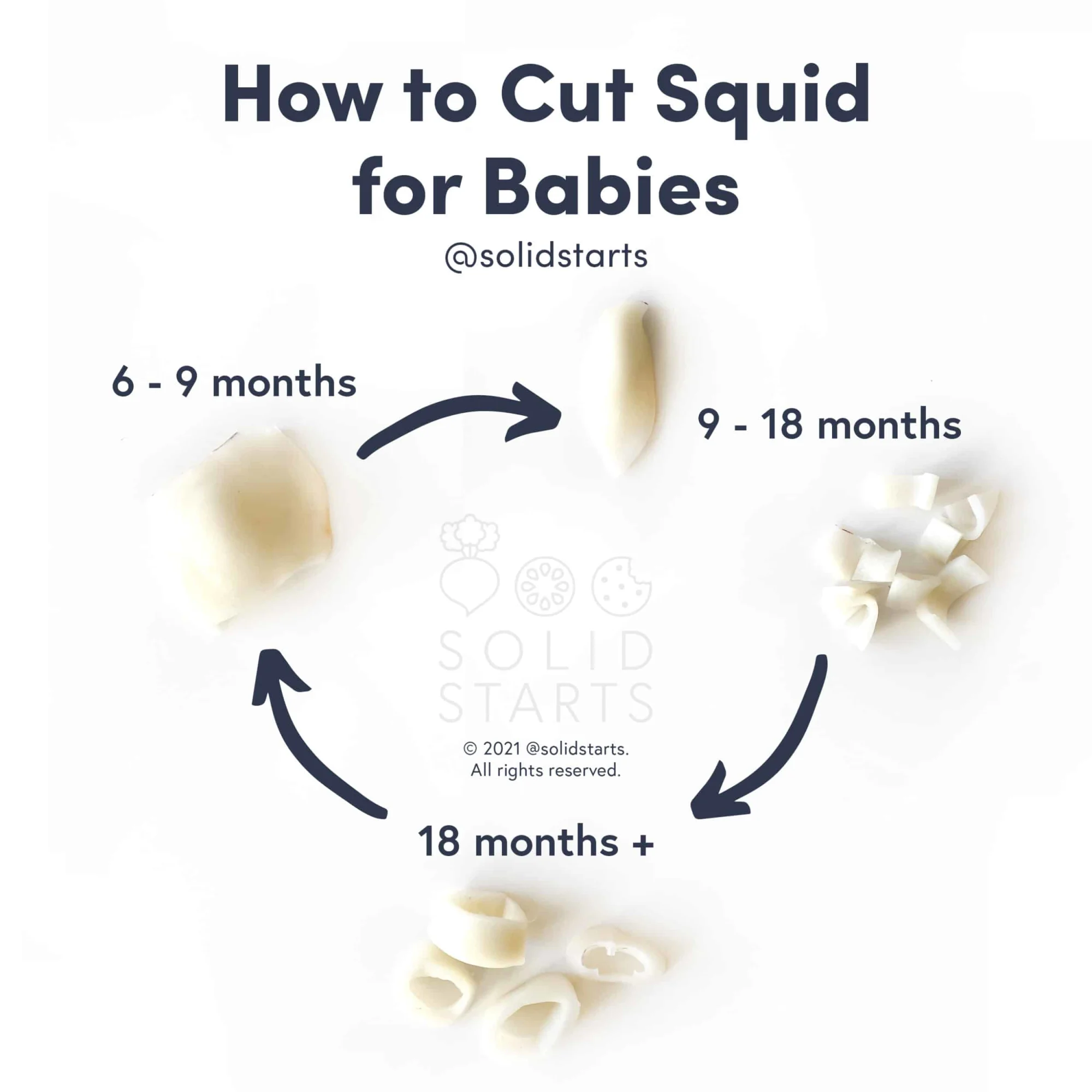 infographic showing how to cut squid for babies by age. Large section of squid mantle for 6-9 months. Bite-sized pieces of cooked squid mantle as well as large section of squid mantle for 9-18 months. Calamari rings for 18 months and up.