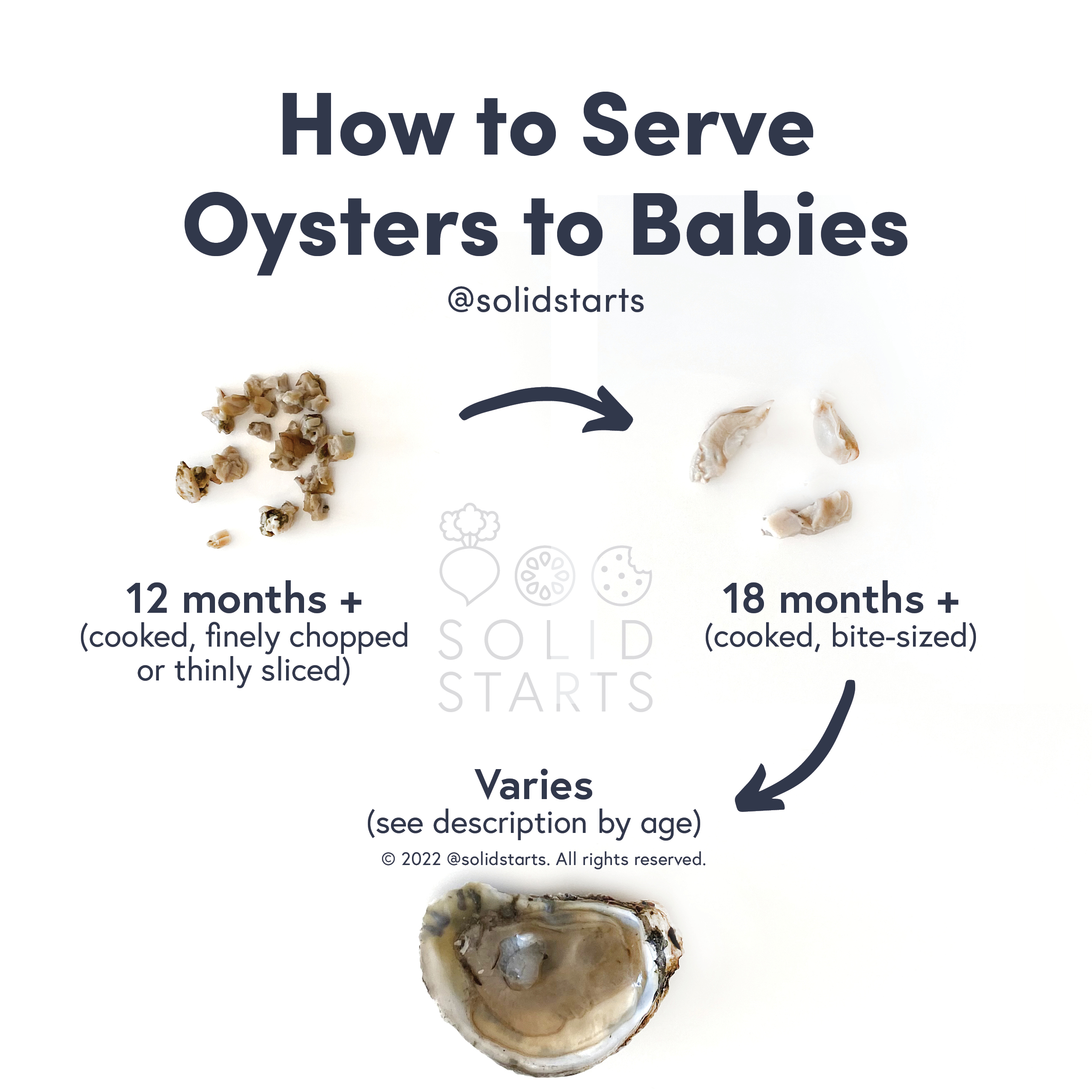 Solid Starts Can Babies Eat Oysters? When Can Babies Eat Oysters? First Foods for Babies