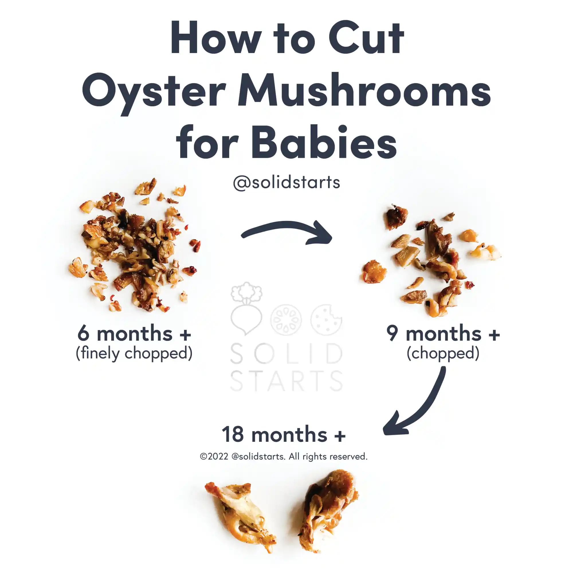 a Solid Starts infographic with the header How to Cut Oyster Mushrooms for Babies: finely chopped for 6 months+, chopped for 9 months+, and larger pieces for 18 months+