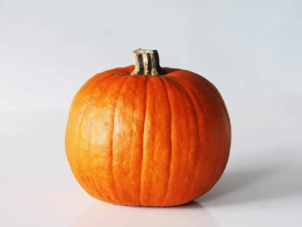 A sugar pumpkin before being prepared for babies starting solids