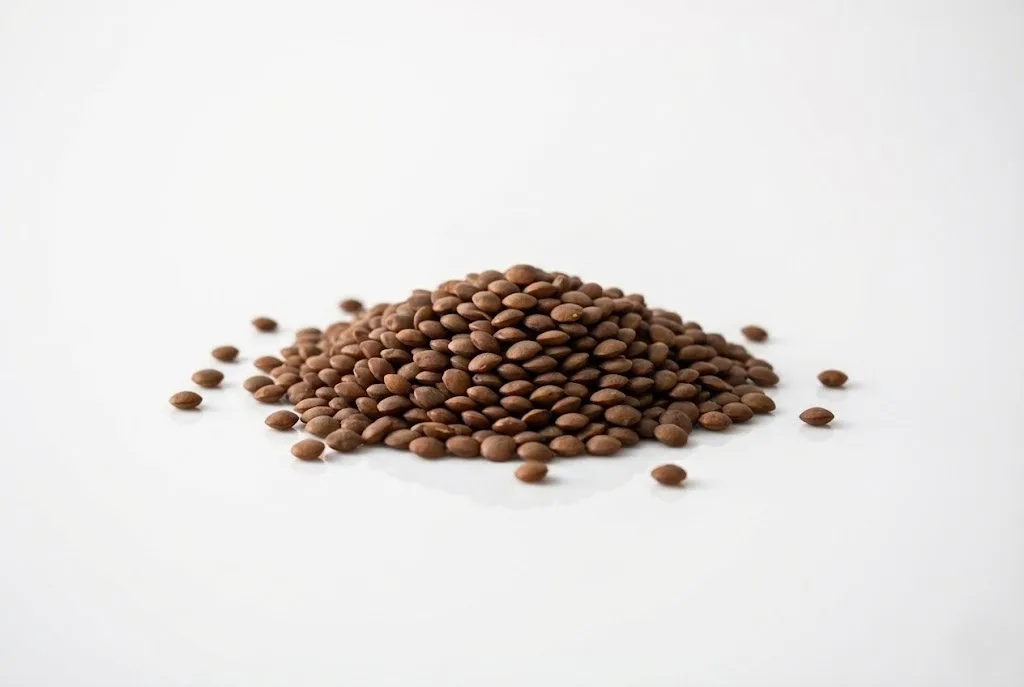 a photograph of a small pile of dried brown lentils on a white surface