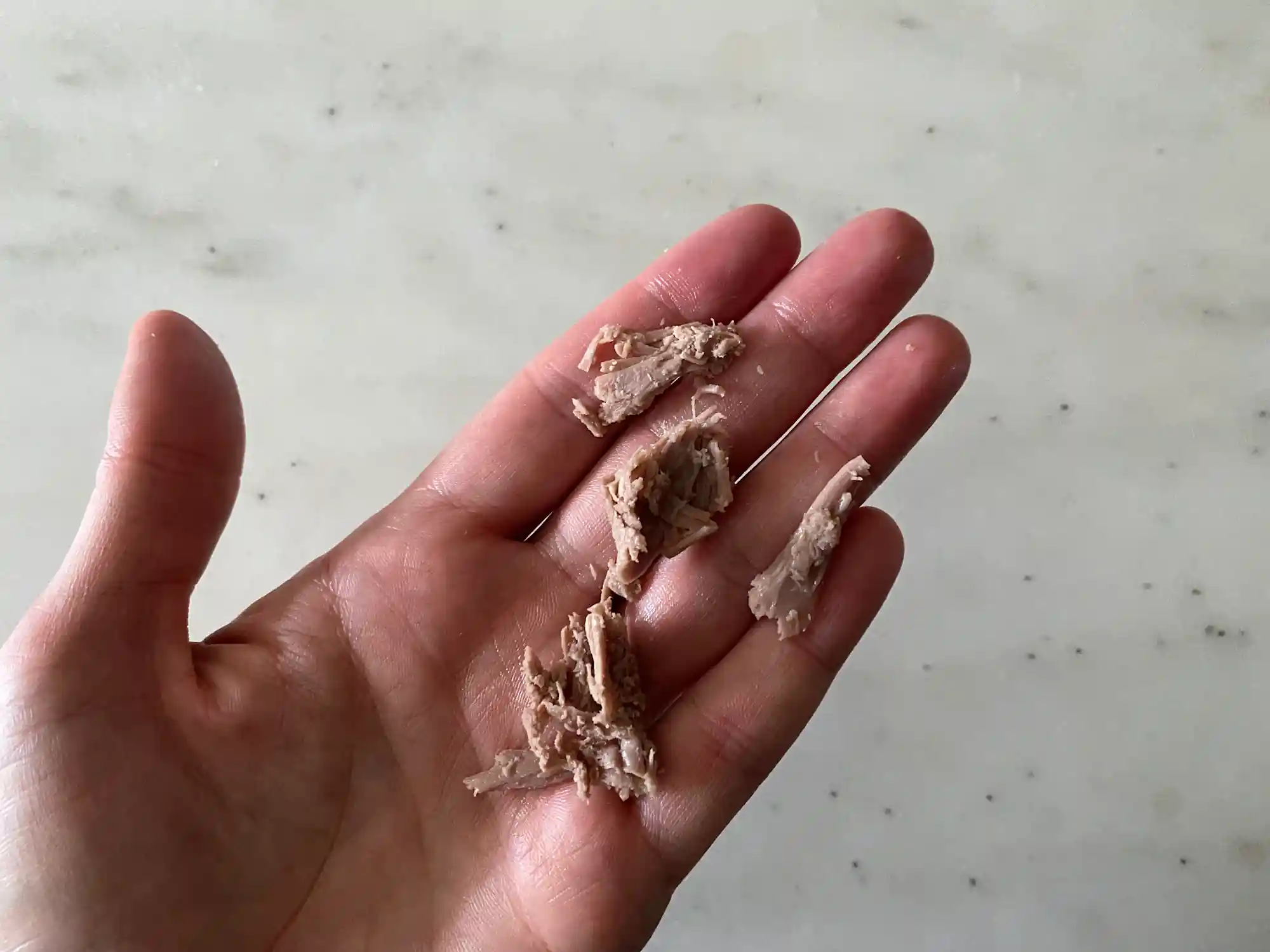 a hand holding small shredded pieces of cooked duck meat