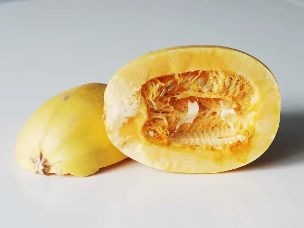 A spaghetti squash cut open before it is prepared for babies starting solids