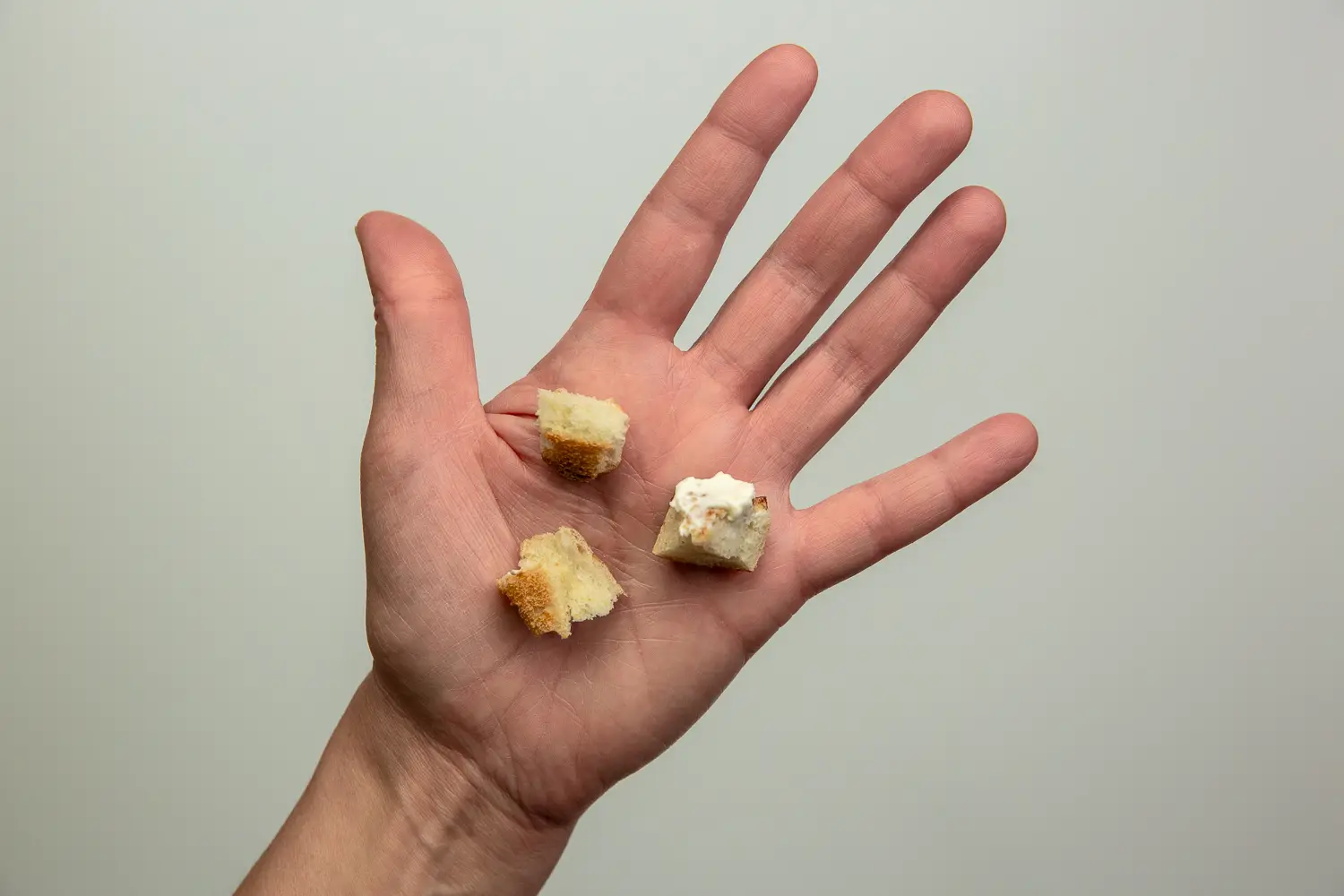 a photograph of a hand holding three bite-sized pieces of toasted bagel in the palm, one with cream cheese on it