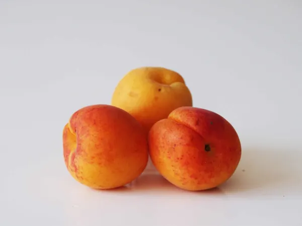 3 apricots before being prepared for babies starting solid food
