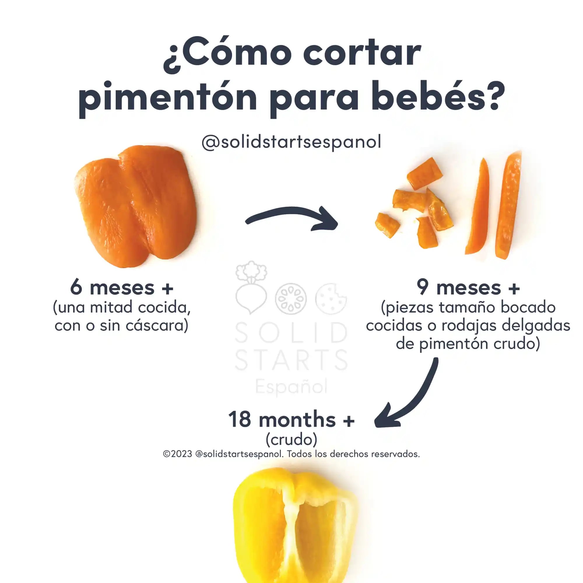 an infographic with the header "how to cut bell pepper for babies": a half of a cooked bell pepper, skin removed, for 6 months+, cooked chopped pieces or raw thin slices for babies 9 months+, half a raw bell pepper for 18 months+