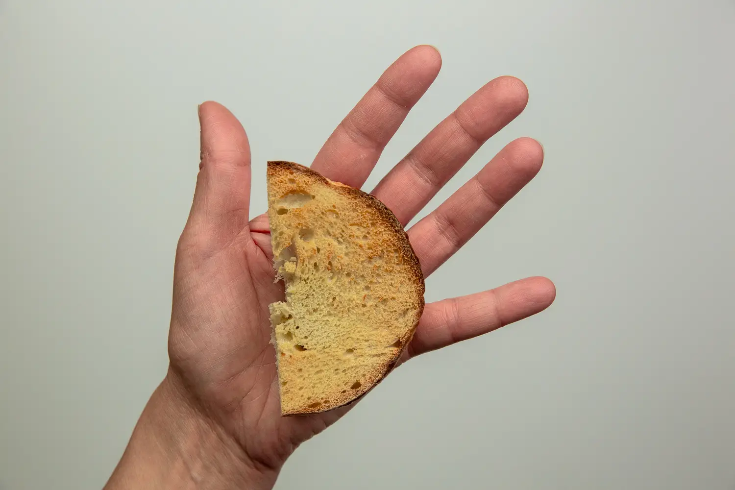 a photograph of a hand holding a toasted bagel half that has been cut in half again into a half-moon shape