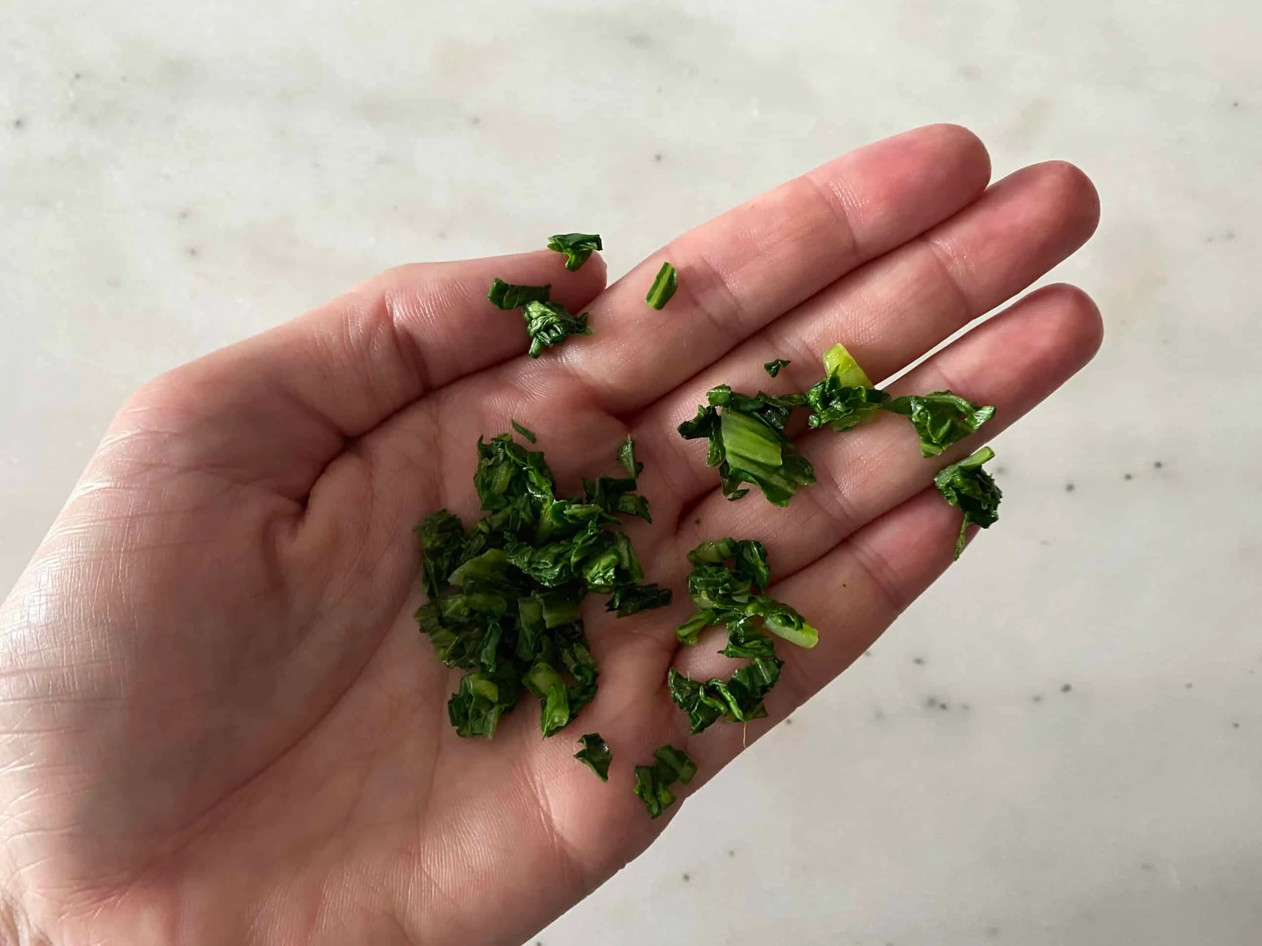 Bok Choy Leaves for Babies