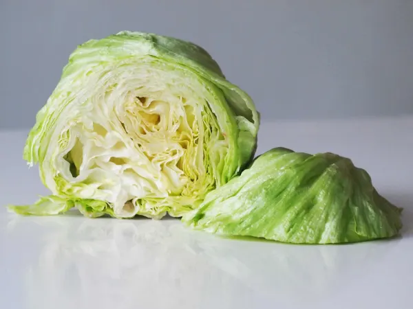 a head of iceberg lettuce cut in half and before being shredded for babies starting solids