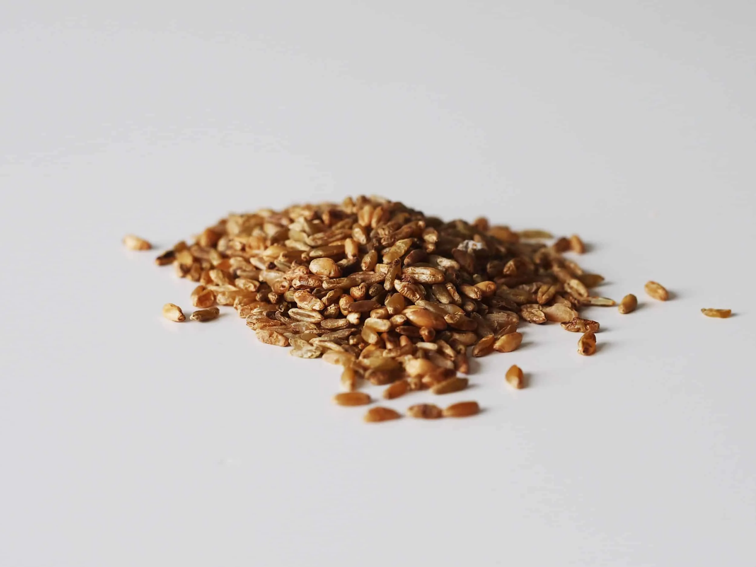 a pile of freekeh before being prepared for babies starting solids