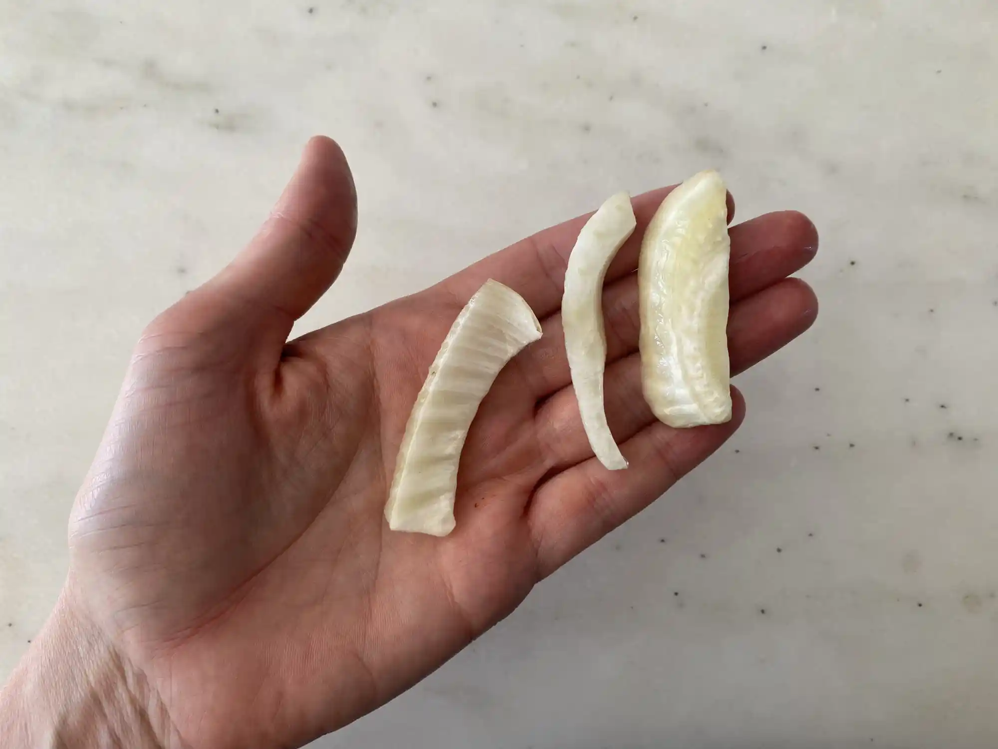 a photograph of a hand holding three cooked slices of fennel bulb