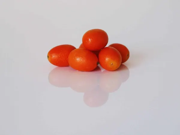 six whole kumquats in a small pile on a white background
