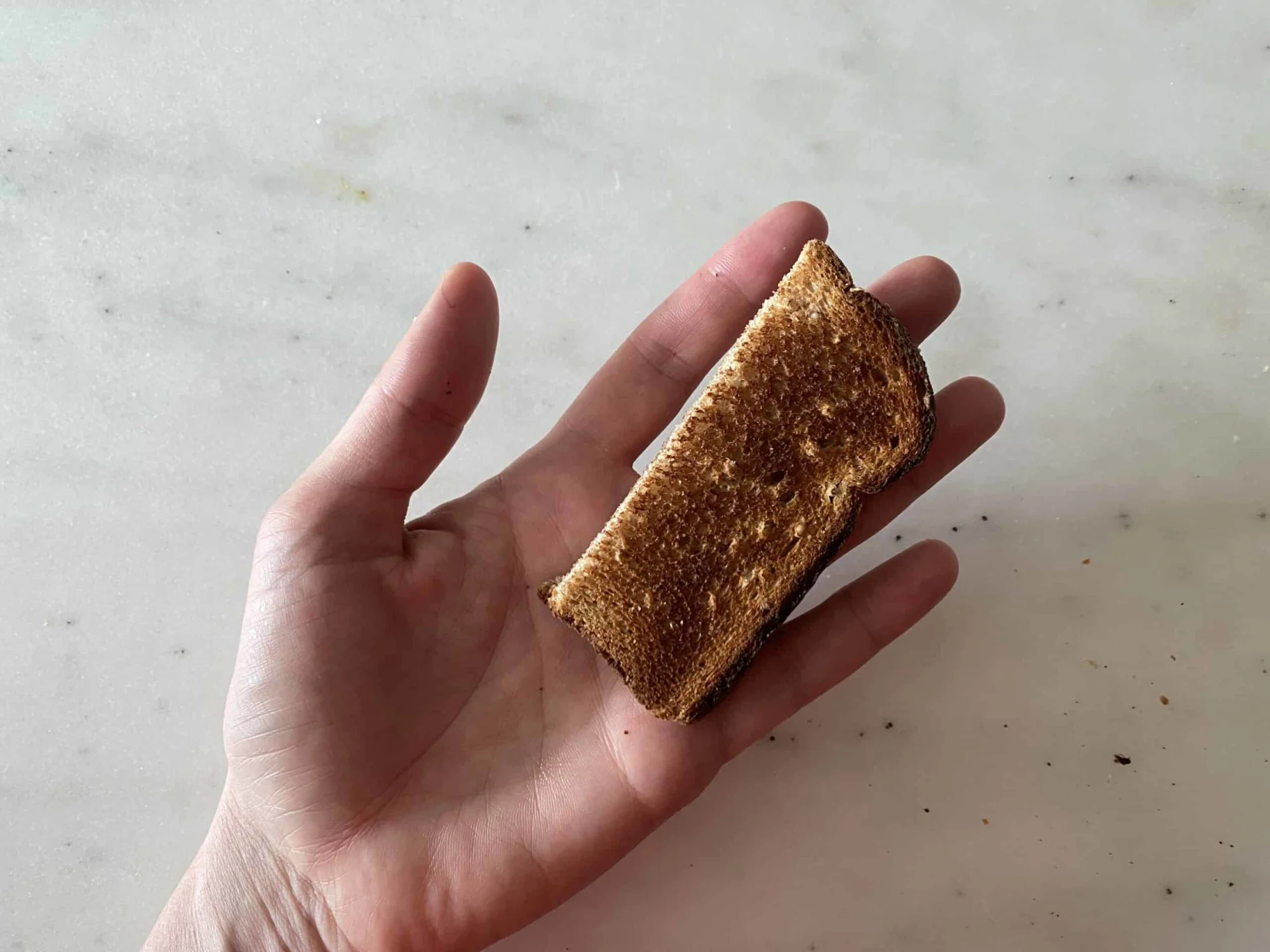 hand holding a strip of toast