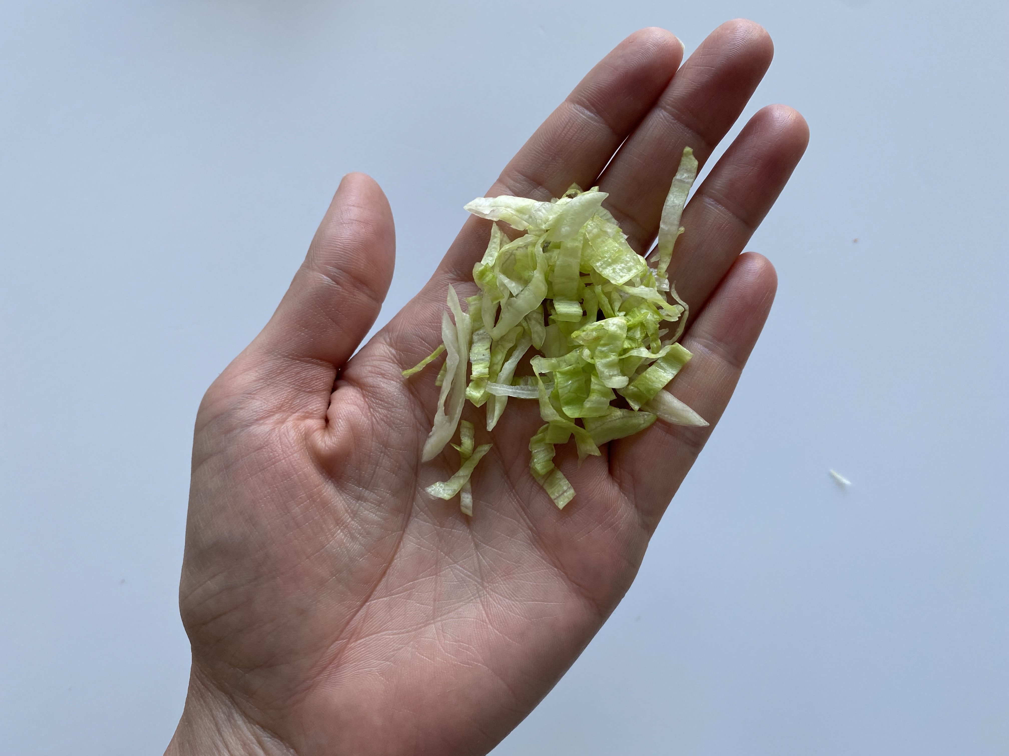a hand holding a small amount of shredded iceberg lettuce