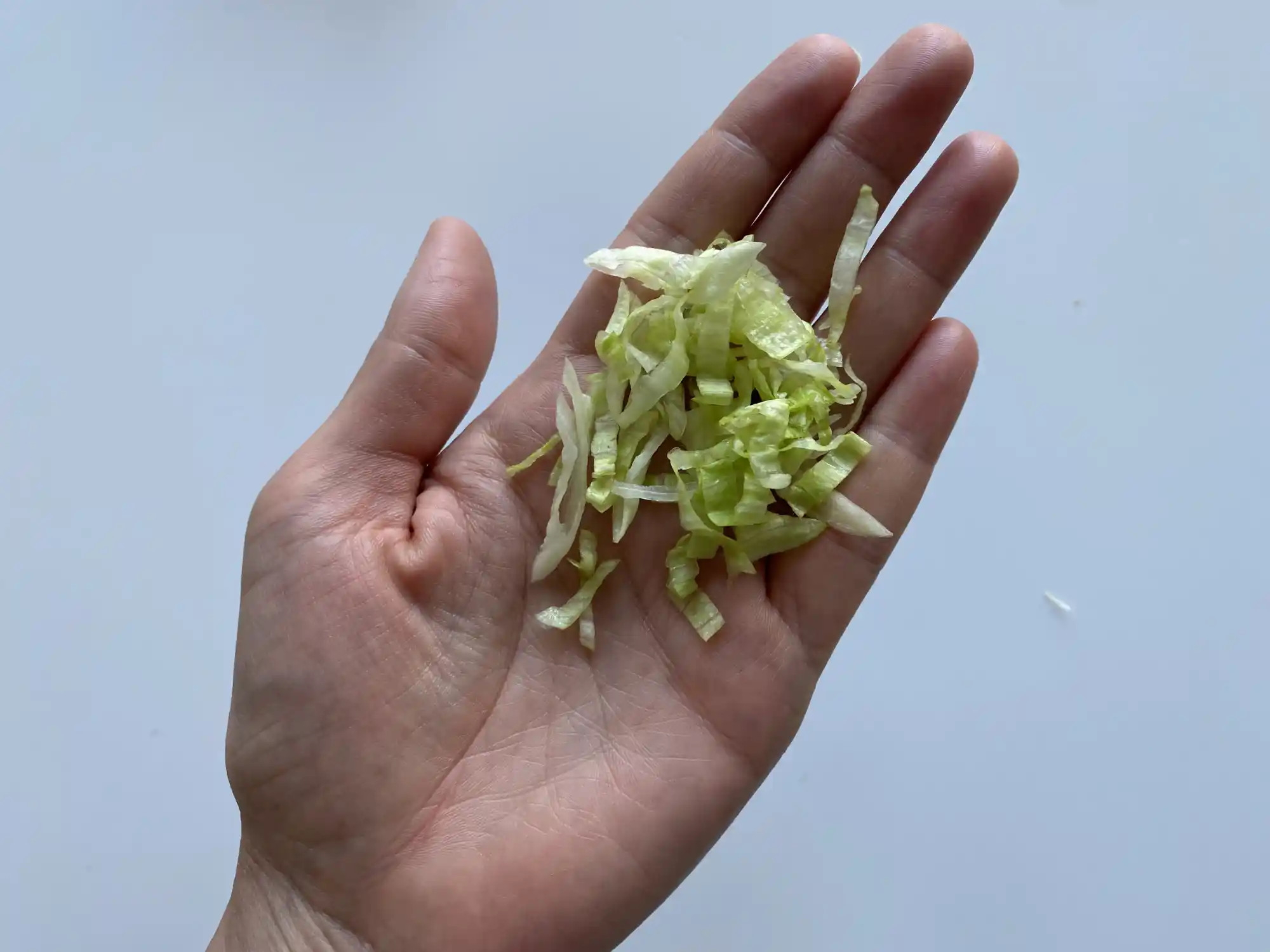 a hand holding a small amount of shredded iceberg lettuce