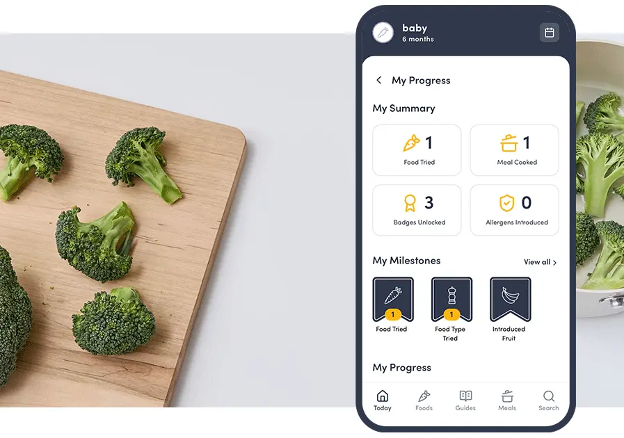 Solid Starts App Progress Tracking