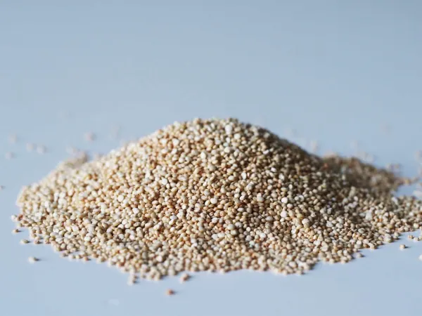a pile of white quinoa before being prepared for babies starting solid food
