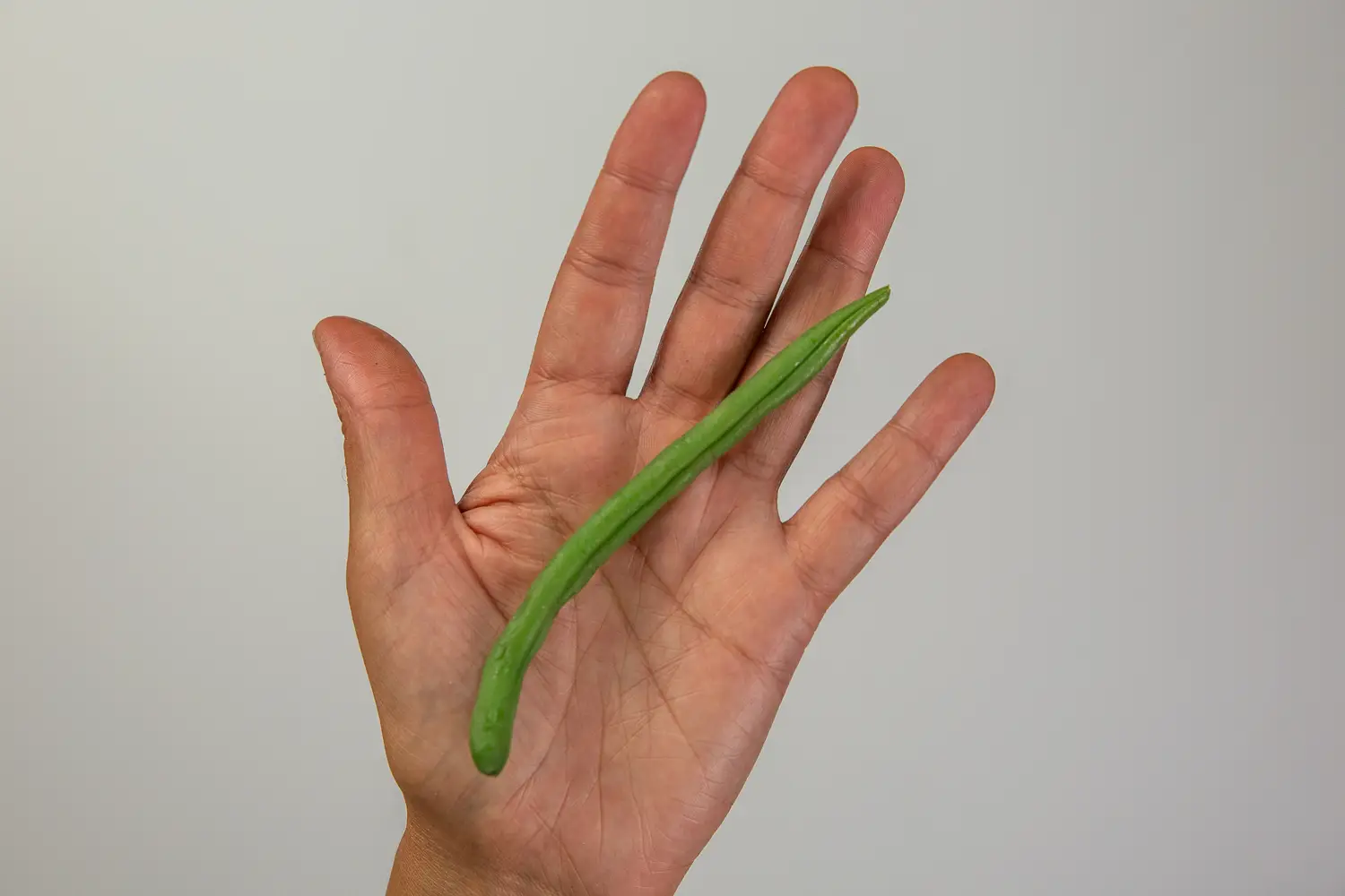 a hand holding one whole cooked green bean for babies 6 months+