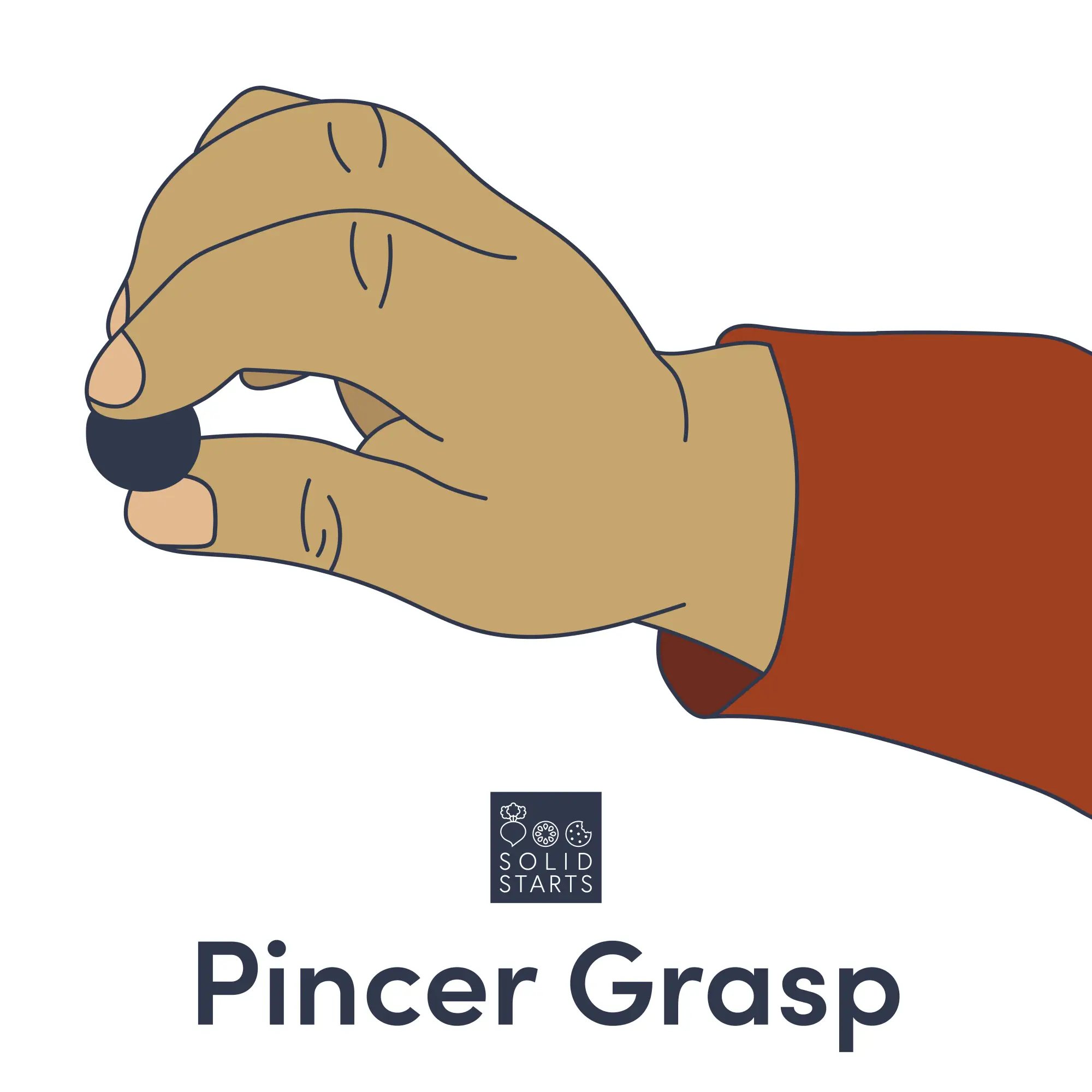 Cartoon illustration of a hand with a blueberry pinched between the tip of the thumb and index finger, with the words "Pincer Grasp" written on the bottom