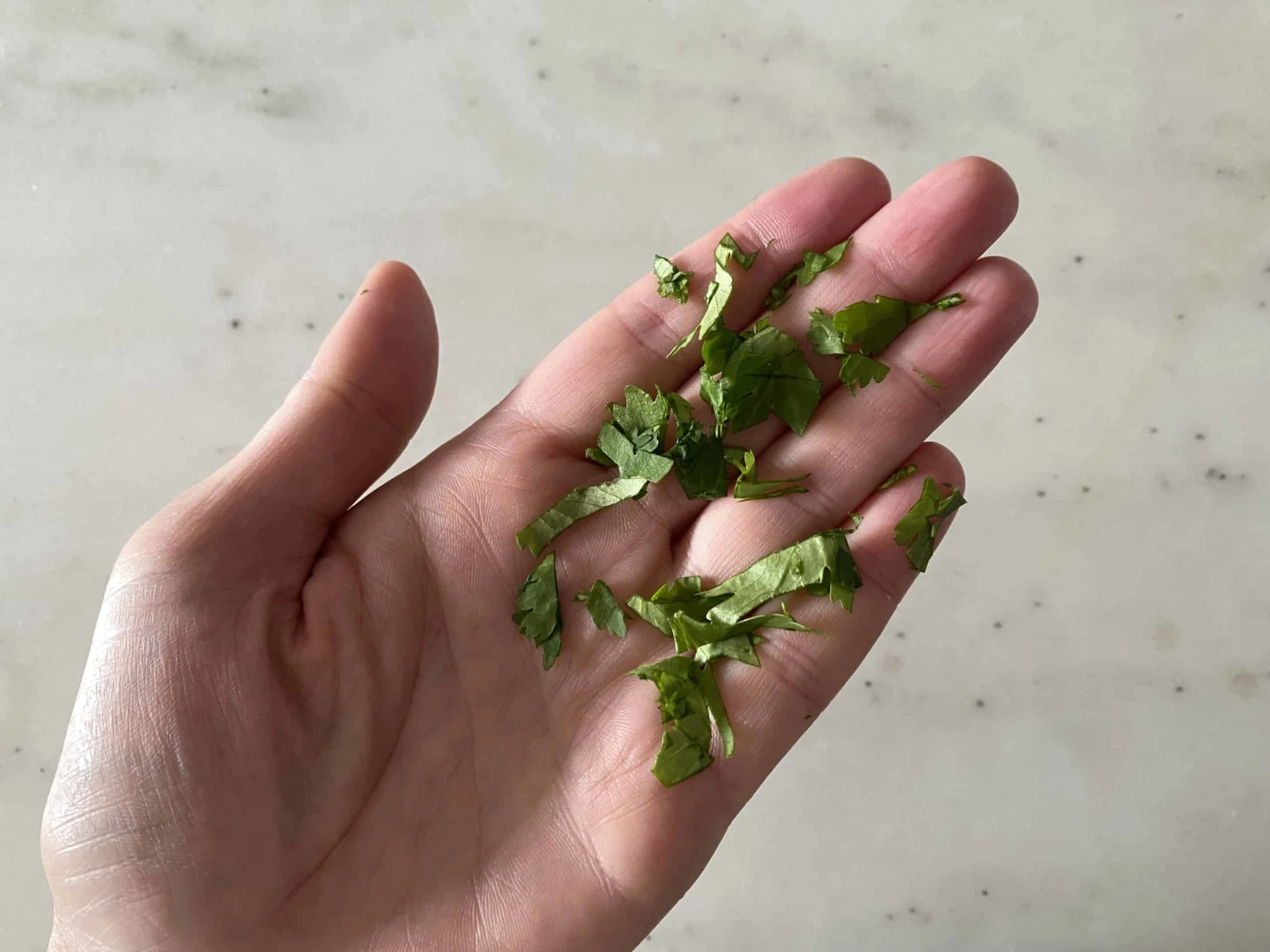 a hand holding pieces of minced cilantro for babies starting solids