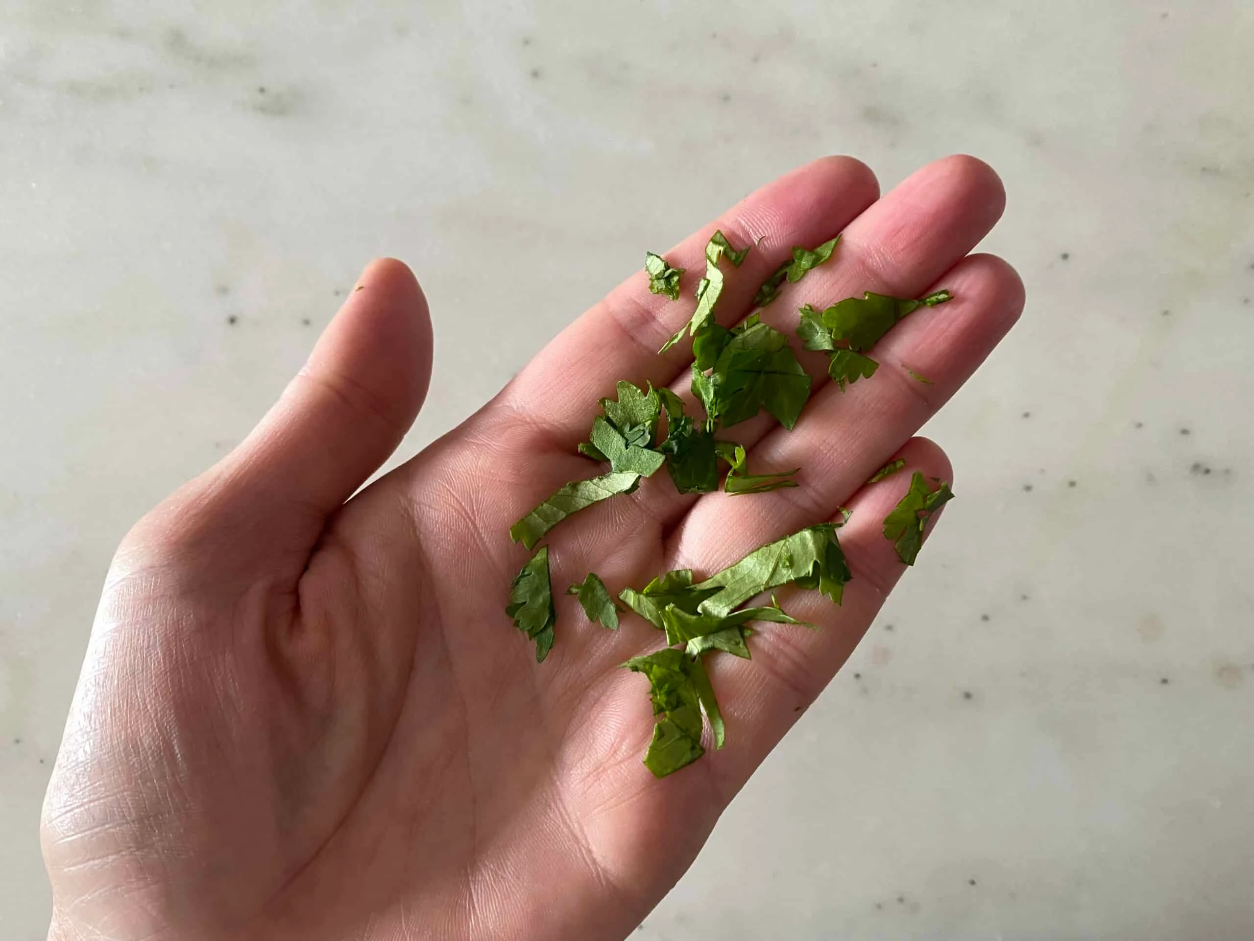 cilantro for babies