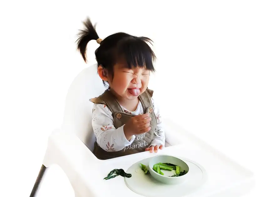 Normal Toddler Mealtime Behaviors