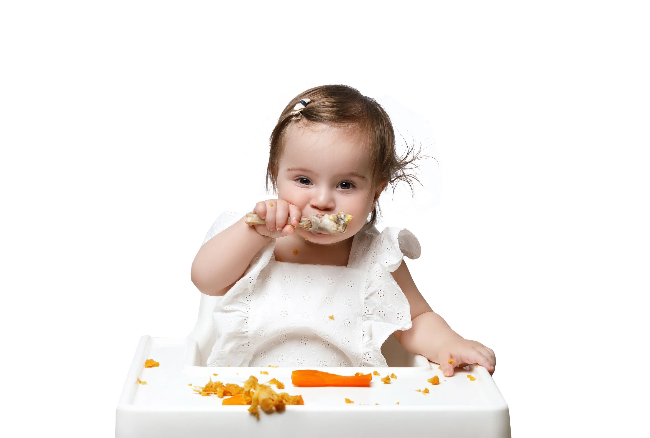 Feeding Schedules - Test 3
