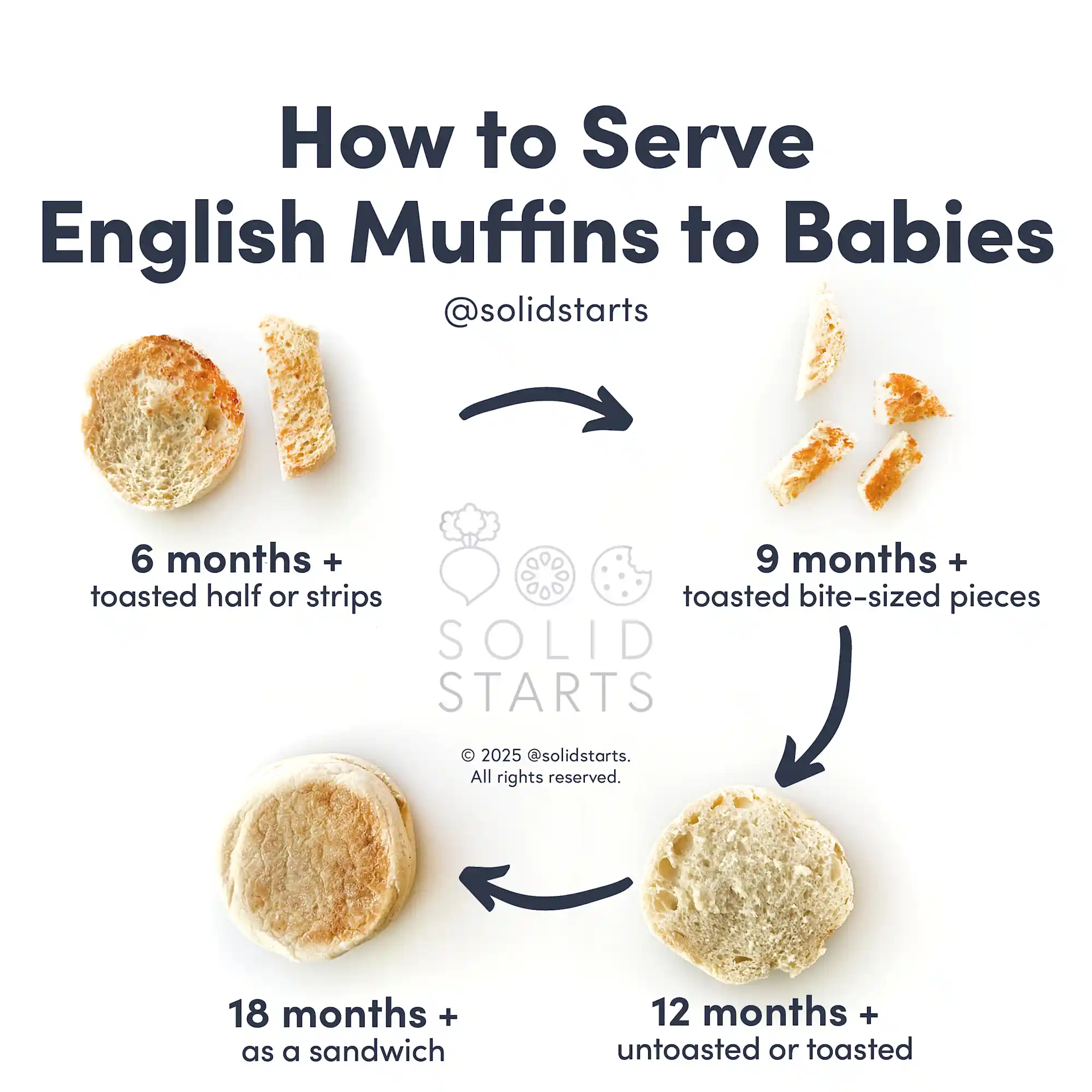 a Solid Starts infographic with the header How to Serve English Muffins to Babies: toasted half or strips for 6 mos +, toasted bite sized pieces for 9 mos +, untoasted or toasted for 12 mos +, as a sandwich for 18 mos+