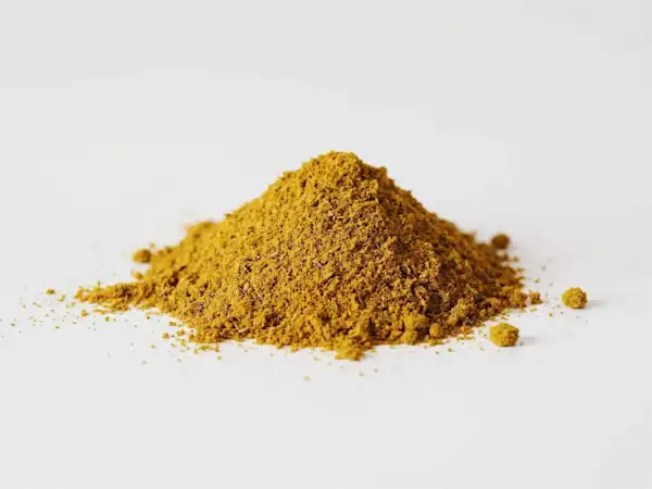 Curry Powder for Babies Solid Starts a photograph of a small pile of curry powder on a white background
