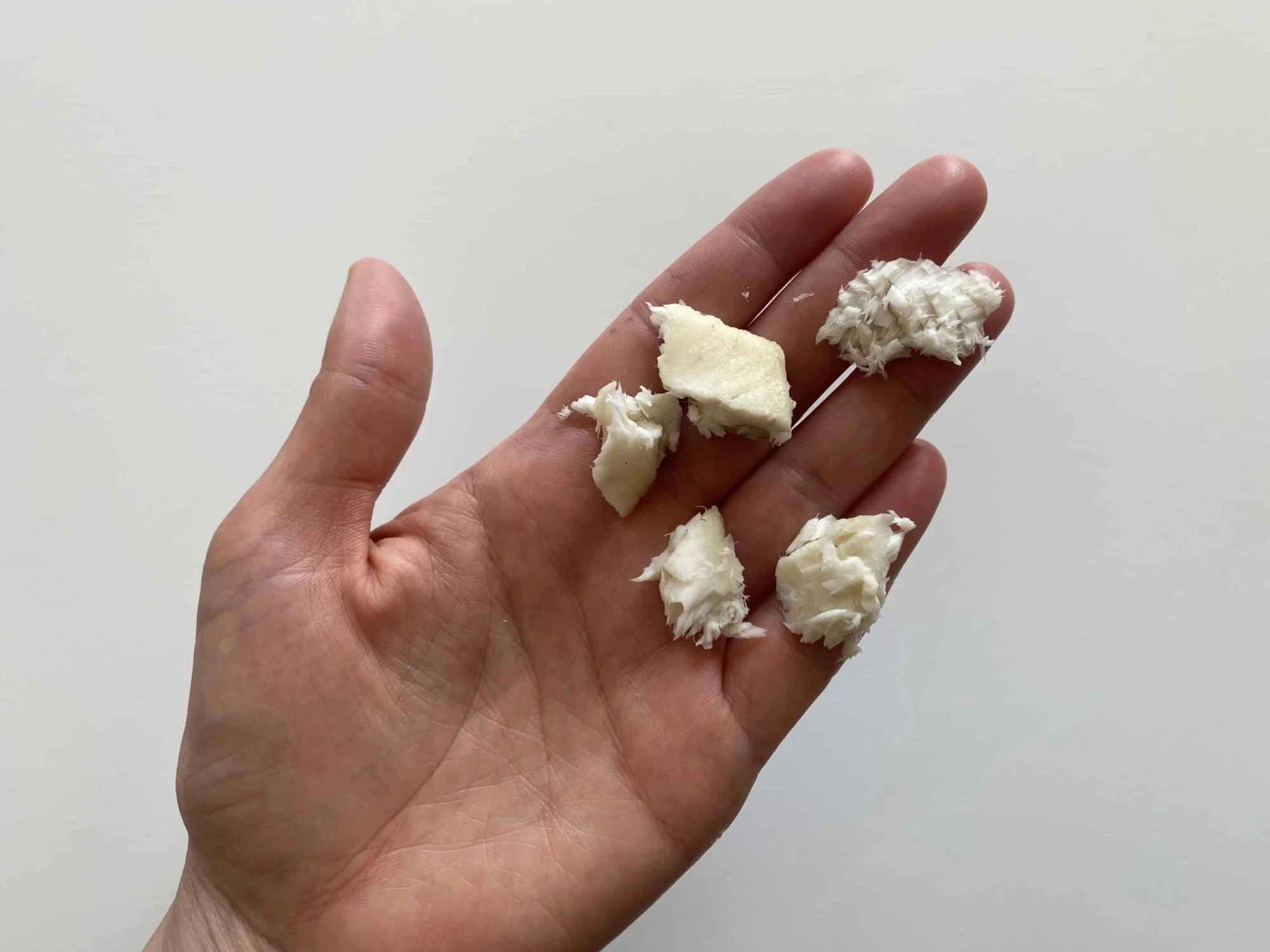 a hand holding five bite-sized pieces of cooked deboned sole for babies 9 months+