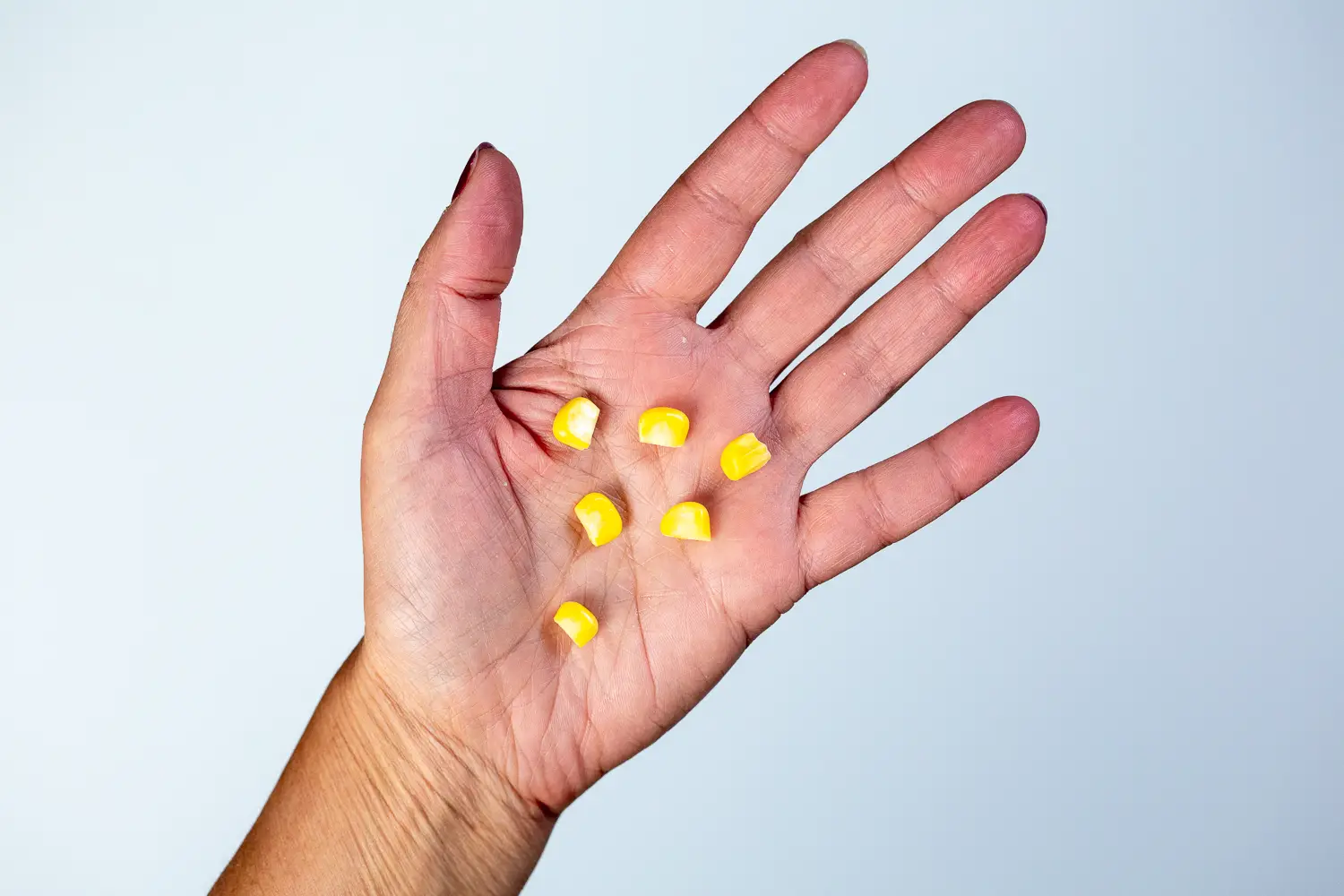 a hand holding six loose corn kernels