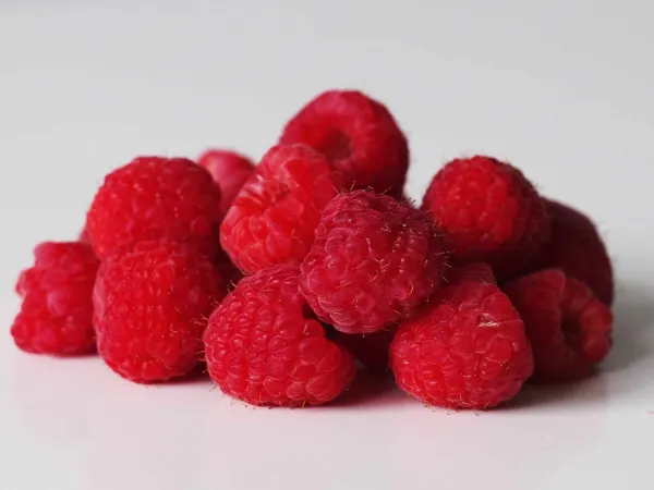 a pile of red raspberries before being prepared for babies starting solid food