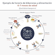 Horarios De Alimentaci n Para Beb s Solid Starts