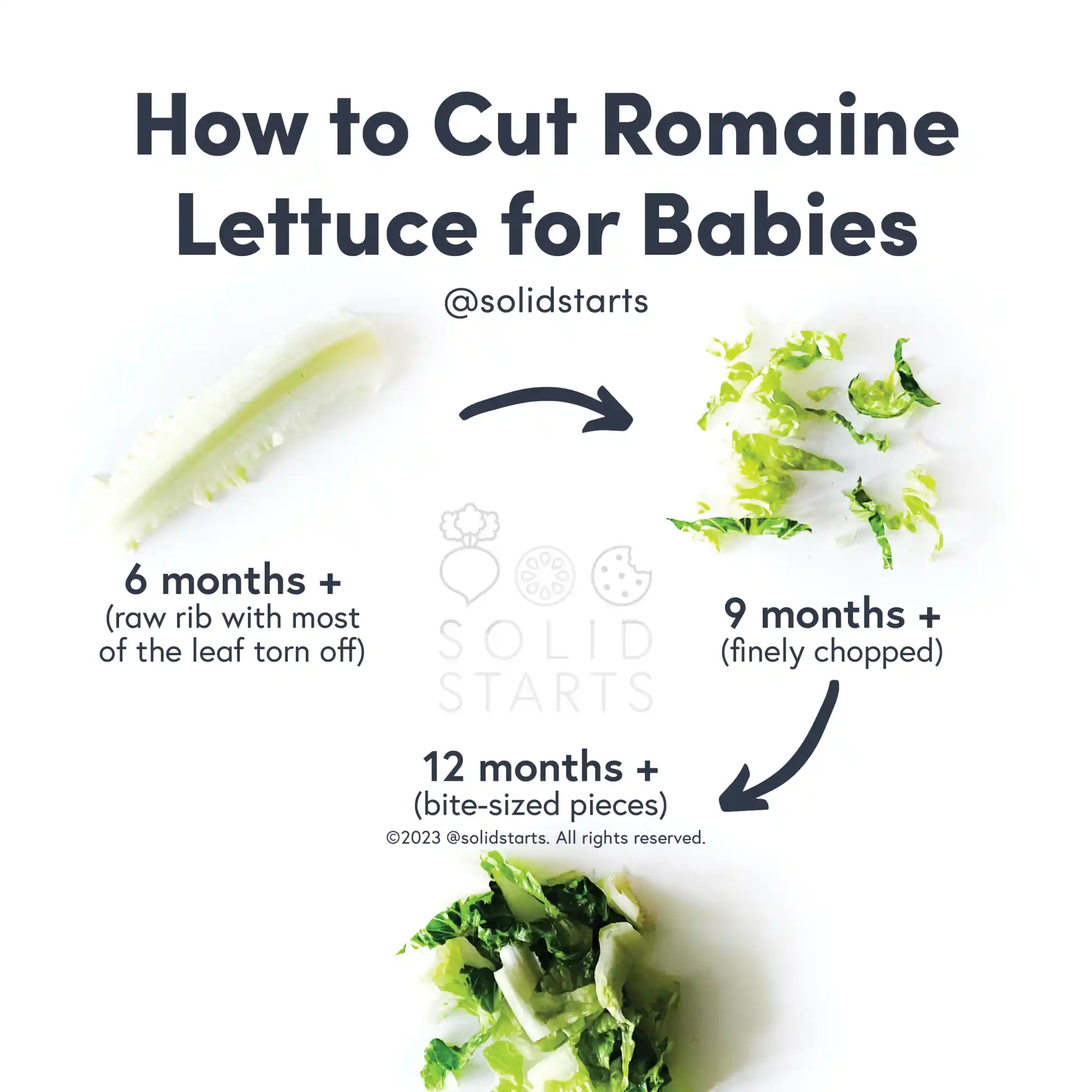a Solid Starts infographic with the header How to Cut Romaine Lettuce for Babies: a rib with most of the leaf torn off for babies 6 months+, finely chopped for 9 months+, bite-sized pieces for 12 months+