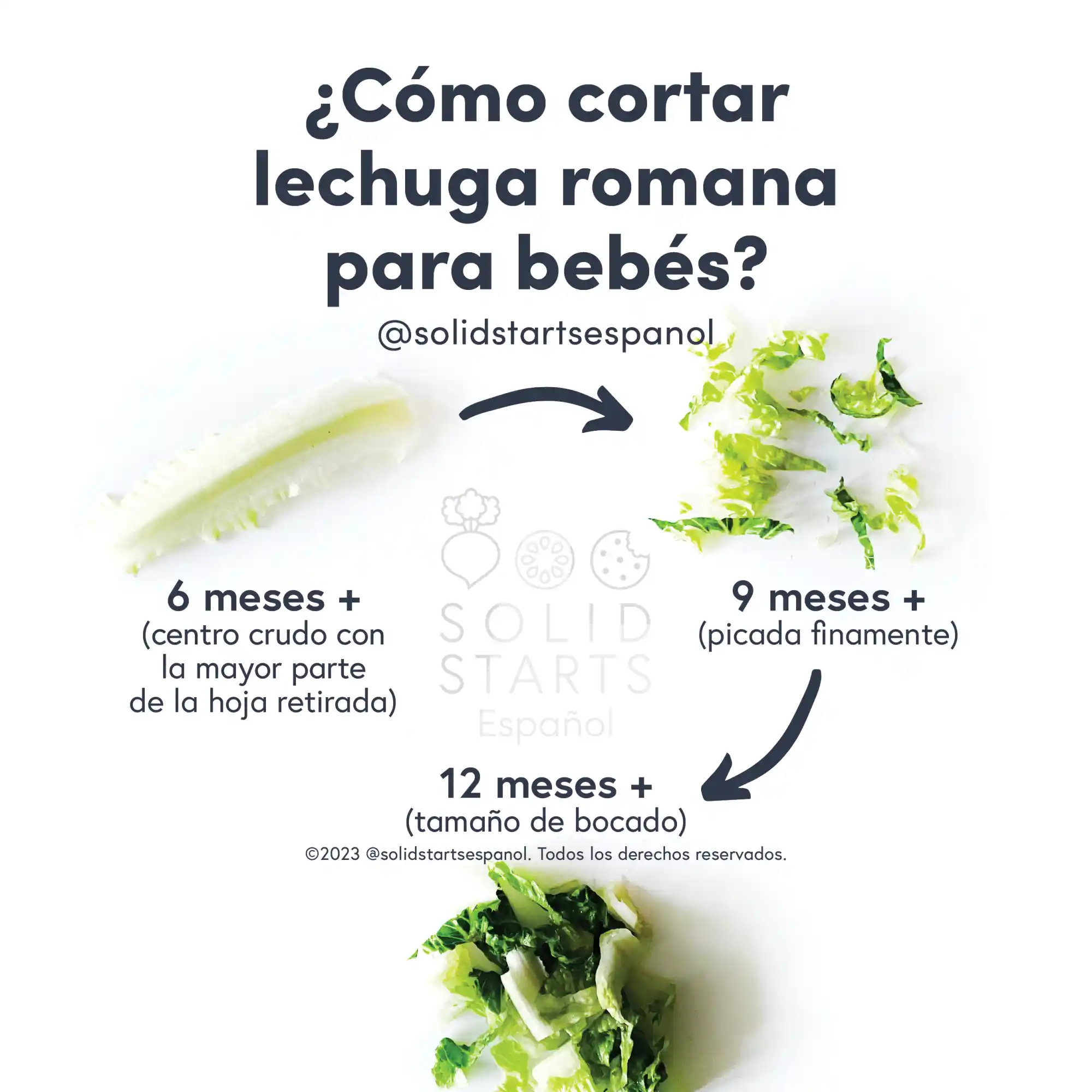 a Solid Starts infographic with the header How to Cut Romaine Lettuce for Babies: a rib with most of the leaf torn off for babies 6 months+, finely chopped for 9 months+, bite-sized pieces for 12 months+