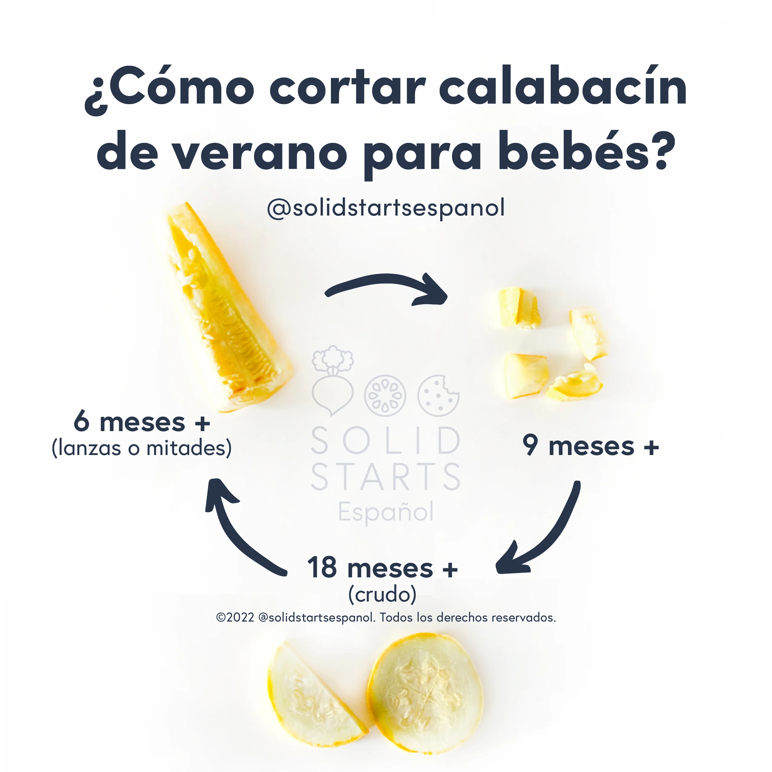 an infographic with the header "how to cut summer squash for babies": a cooked summer squash spear for 6 months+, bite-sized pieces of cooked squash for 9 months +, and raw rounds and half-moons for toddlers 18 months +