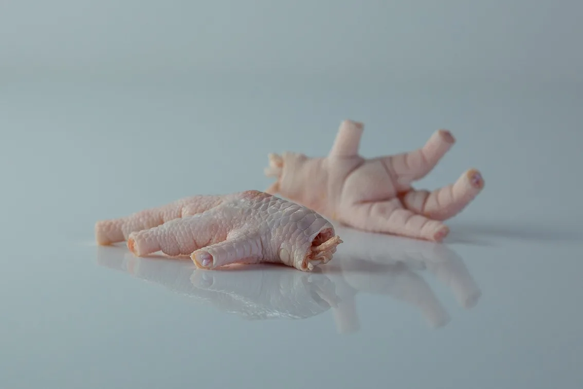 a photograph of two raw, clean chicken feet ready to be cooked on a white background