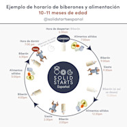 Horarios De Alimentaci n Para Beb s Solid Starts
